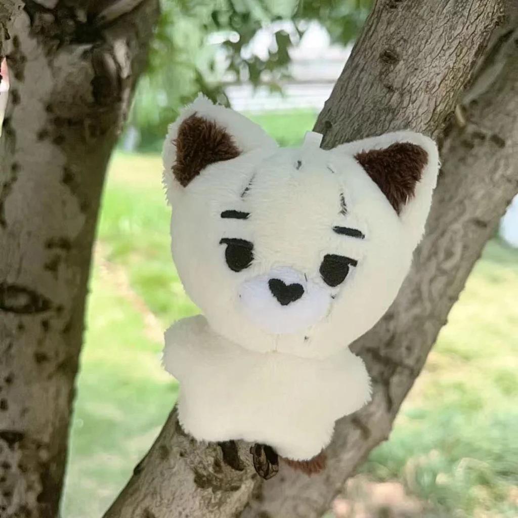 Kpop Plush JUNGWON HEESEUNG JAY JAKE SUNGHOON Stuffed Toys Keyring Kawaii Cartoon Pendant Accessories Bag Fans Gift