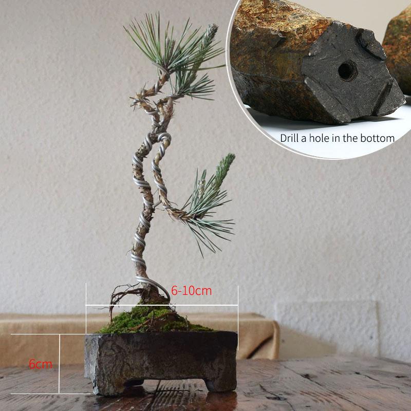 

Базальтовый цветочный горшок Суккулентное растение Питомник Посадочный горшок Ваза из натурального камня Украшение Дом Стол Ремесло Бонсай Садовый декор Новогодний подарок