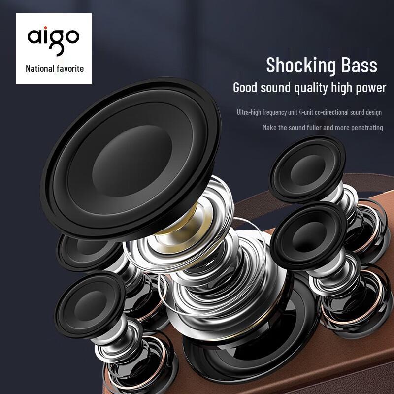 Aigo T190 Portable Outdoor KTV Bluetooth Speaker CN Plug (adapter Included)