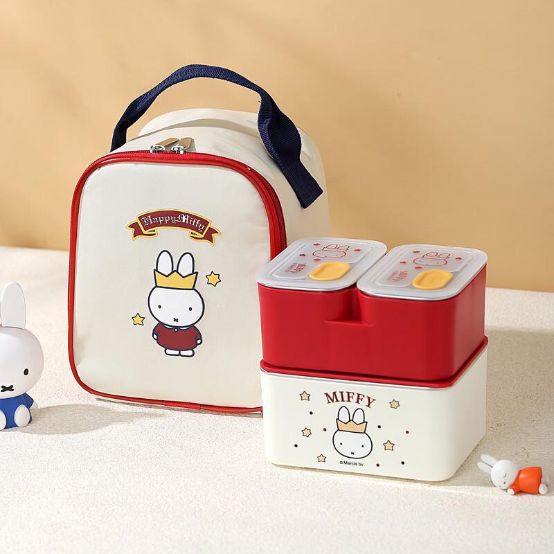 ZISIZ Rectangular Insulated Lunch Box