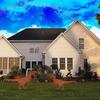Dinosaur Decorative Art Silhouette Metal Animal Silhouette Art Courtyard Decorate