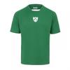 Mens Ireland Crew Neck T-Shirt