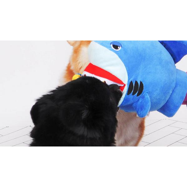 Dingdongpet jucărie remorcher pentru animale de companie 12 cm x 24 cm x 18 cm, rechin, 1 bucată