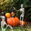 Schönes 40cm Halloween Menschliche Form Skelett Bewegliches Skelett Menschliche Form Knochen Halloween Horror Dekorationen Spukhaus Horror Requisiten