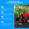 Plant Nutrition Powder Promotes , Increases Leaf Density And Leaves, And Is A Universal Horticultural Fertilizer That Is Easy To Apply By Flushing