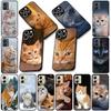Soft Cover for Apple iPhone 17 16 14 15 Pro Max Plus 15+ 16E XR ProMax Air 16+ Coque Phone Case Meow Eyes Kitten Cat