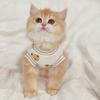 Thin Breathable Pet Vest Cats Dogs Anti-Shedding Cute Clothes British Shorthair Ragdoll Bichon Teddy
