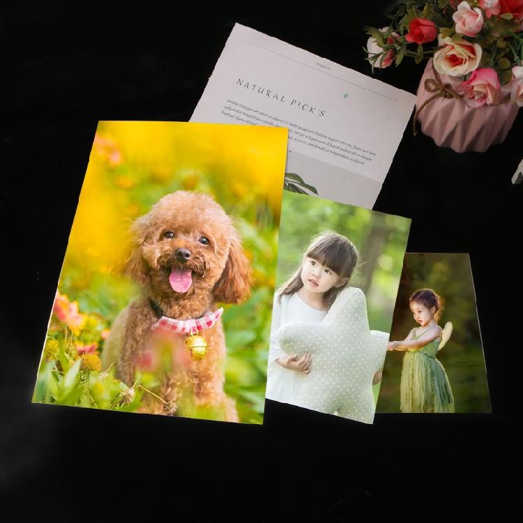 3X Sublimation Blank Aluminum Metal Sign for Heat Press Transfer Printing Photo