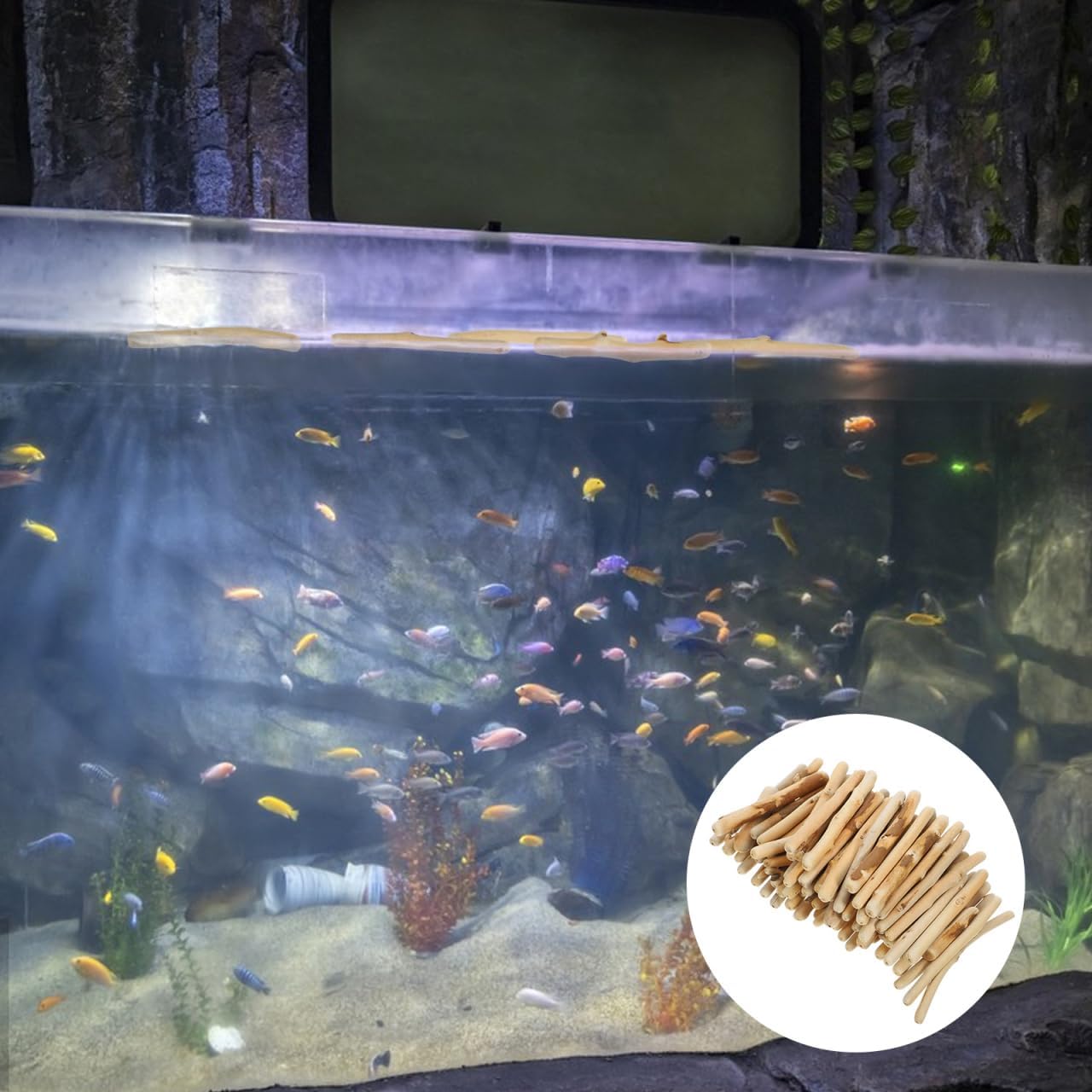 balacoo 1set Natural Driftwood Decoration for Fish Tank Ornament Driftwood Adornment Unique Shapes Lowers Ph for Aquascaping and Planting Accessories