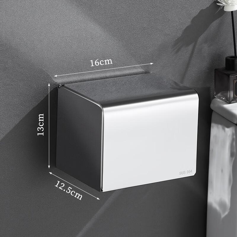 Shixun Stainless Steel Toilet Paper Holder with Storage Shelf