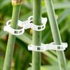 100 Stück Wiederverwendbare Kunststoff-Pflanzenclips zur Unterstützung von Ranken, Tomatenstielen, Veredelung von Gemüsepflanzen, Obstgarten, Gartengeräte