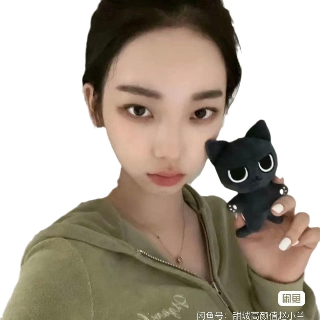 Yi WINTER Min Kim ting Liu Zhimin curry dog curry pot curry cat doll key.