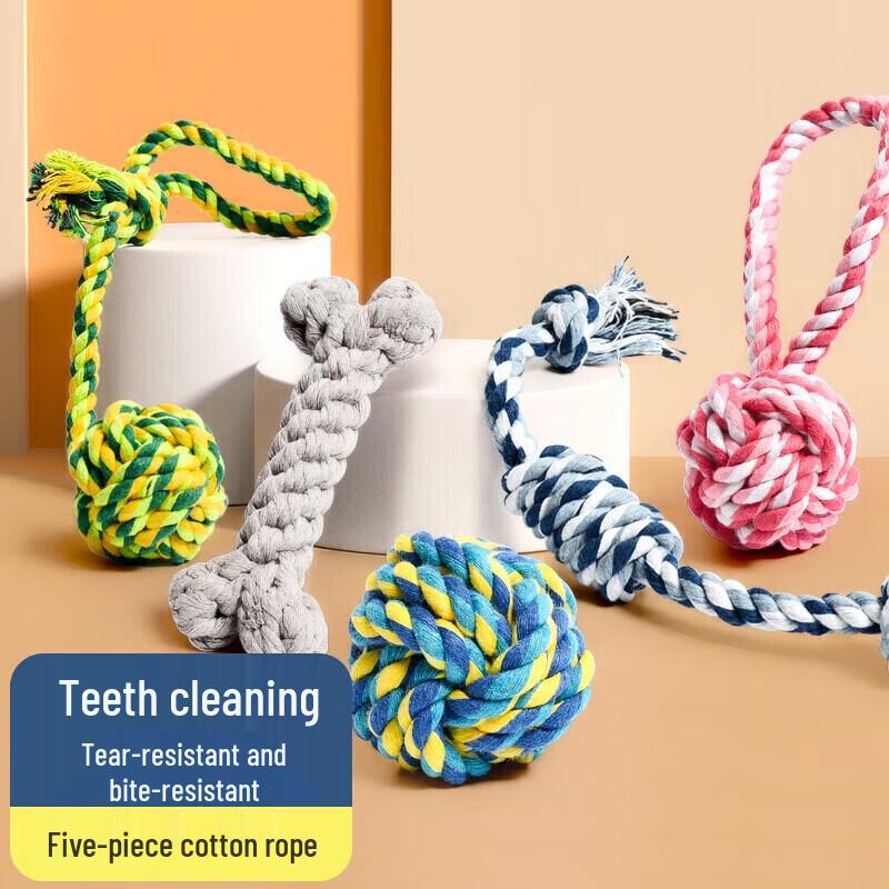 Pet Dog Chew & Interactive Toy Set