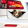 Brown and White Border Collie Car Stickers, Waterproof Pvc Animal Decals With 3D Effect, Block Scratches and Increase Fun Auto Parts