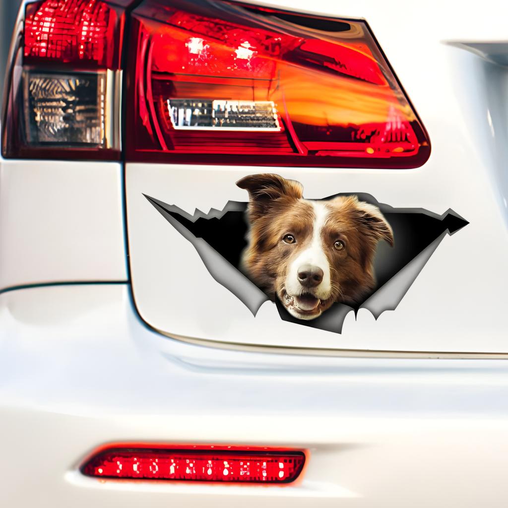 Brown and White Border Collie Car Stickers, Waterproof Pvc Animal Decals With 3D Effect, Block Scratches and Increase Fun Auto Parts