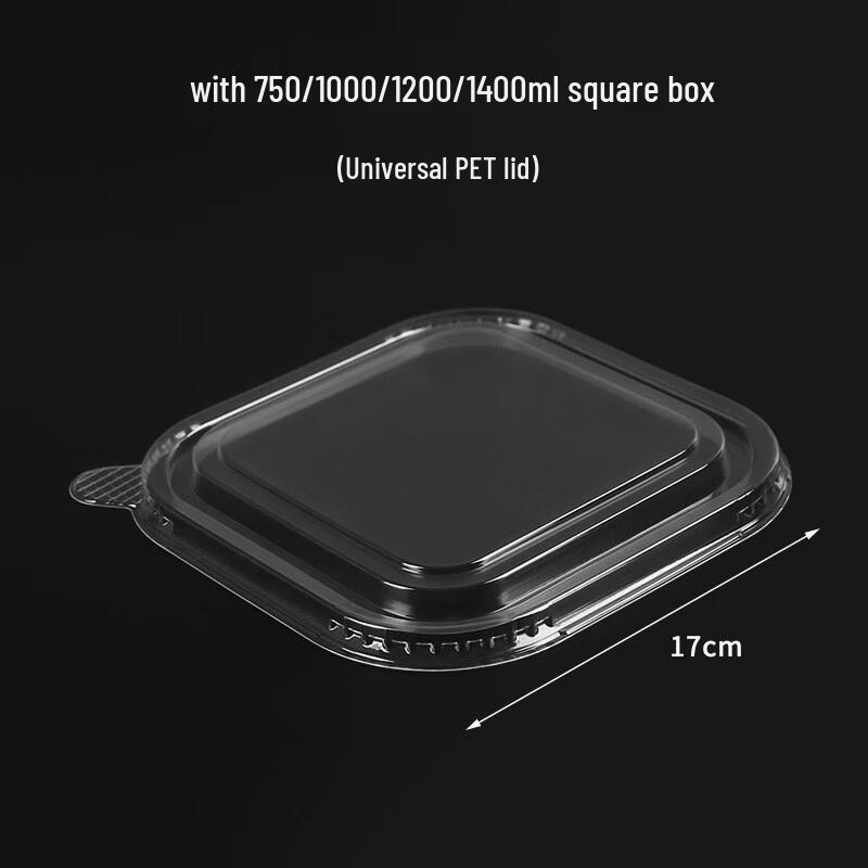 

Disposable Square Takeaway Food Containers with PET Lids
