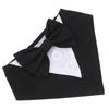 Dog Suit Collar with Bowknot for Pet Use 5Pcs Puppy Party Scarf and Bandana