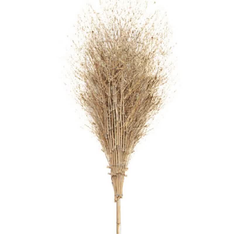 JingYao Large Bamboo Handle Outdoor Broom