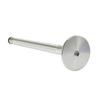 IMT ANDORIA exhaust valve, packed in 4 pieces, price shown is for 1 piece