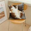 Funny cat cute sleep cushion cover Pillow Cover Decoration Room Home Sofa living Office Car Nordic Simplicity