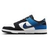 Nike Dunk Low Retro Sneakers