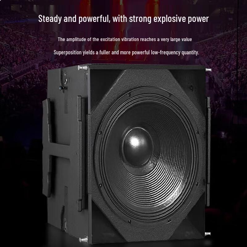 Weishu 10-inch Full-Range Passive Line Array Speaker CN plug (adapter included)