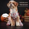 Roupa e sapatos – Vestidos para cães
