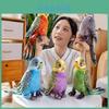 Cute And Soft Plush Parrot Doll Colorful Stuffed Animal Ideal For Children