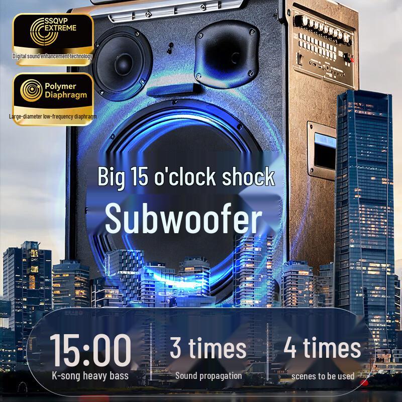 SAST SA-258plu Portable KTV Speaker (CN Version)