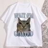 Warte, ICH bin Goated Katze Alberne Katze Meme T-Shirt Herren Damen Baumwolle Kurzarm T-Shirt Rundhals Locker Basic Katzenliebhaber T-Shirt Oberteile