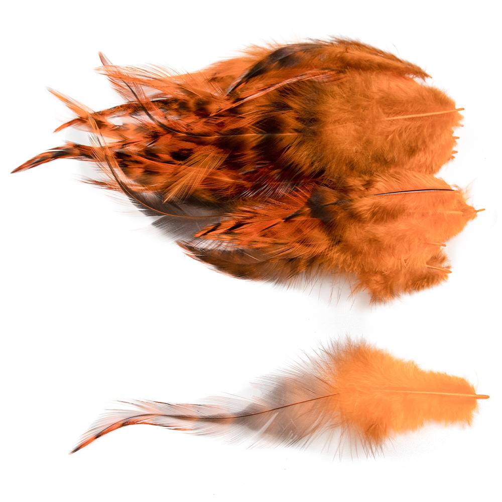 10-15Cm Dyed Chicken Feathers Natural Pheasant Feather For Party Diy Jewelry Handicrafts Plumes Crafts Decoration R