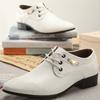 White Men's Formal Shoes Lace-up Young Spring Autumn Elegant and Classic Cheap Liquidation Official 2026 Trend Social Shoe Male