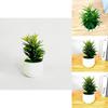Fake Succulent Plant Pot With Pvc Material For Home Decor And Office Display