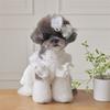 Haustier Spitze Flatterärmel Kleid Katze Oberteil Frühling Spitze Prinzessinnenkleid Kleiner Hund Hunde Kleider für Kleine Hunde Welpen Kleidung