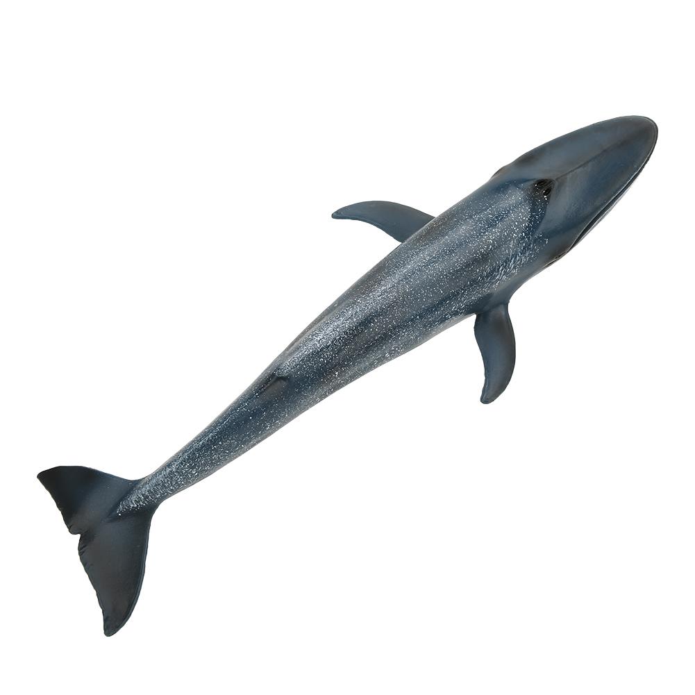 Fish Model Home Decor Educational Kid Cute Simulation Miniature Animal Toy