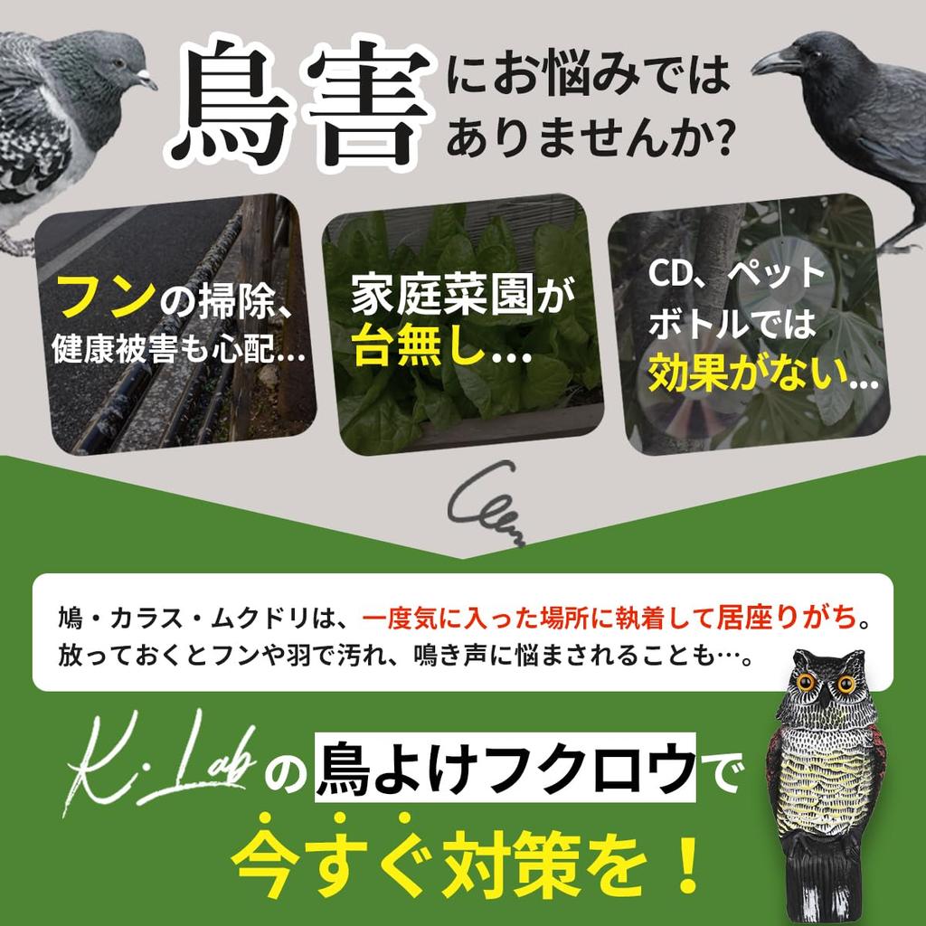 Bird Repellent Set of Realistic Owl Deter Crows and Pest Control Owl Realistic Bird Ornament for Garden Decor K.Lab 2, Design, Pigeons, Item, Object,