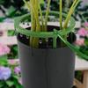 Plant Emitter Drip Ring With Support Hydro Halo Water Ring Plants Watering System Home Gardening Tool for Root Irrigation