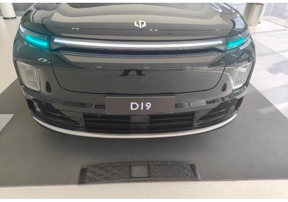 Leapmotor D19 Insect Net Grille: Dustproof Radiator Air Inlet Cover Protection Accessory