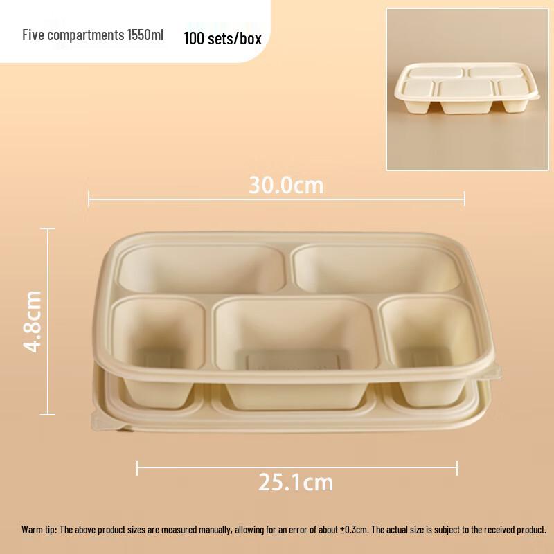 Biodegradable 5-Compartment Disposable Lunch Boxes