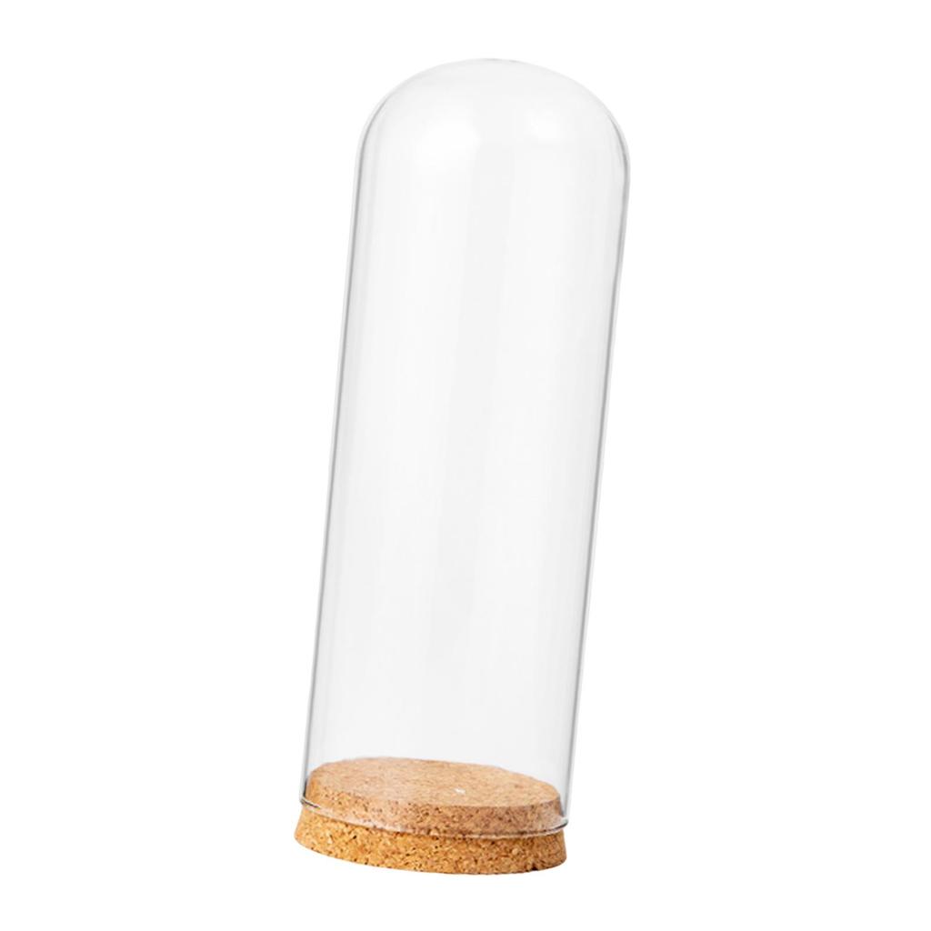 Cloche Glasglocke Ausstellungsdom Fall DIY Behälter Ornament Dom Cloche Abdeckung für Party Schreibtisch Heim Büro Dekoration