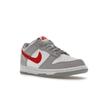 Nike Dunk Low GS Grey Red Kids Sneakers White DV7149-001