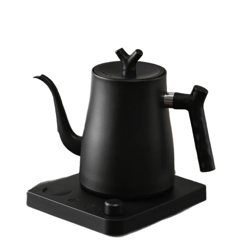 Premium Stainless Steel Electric Kettle with Long Spout for Tea and Water Boiling