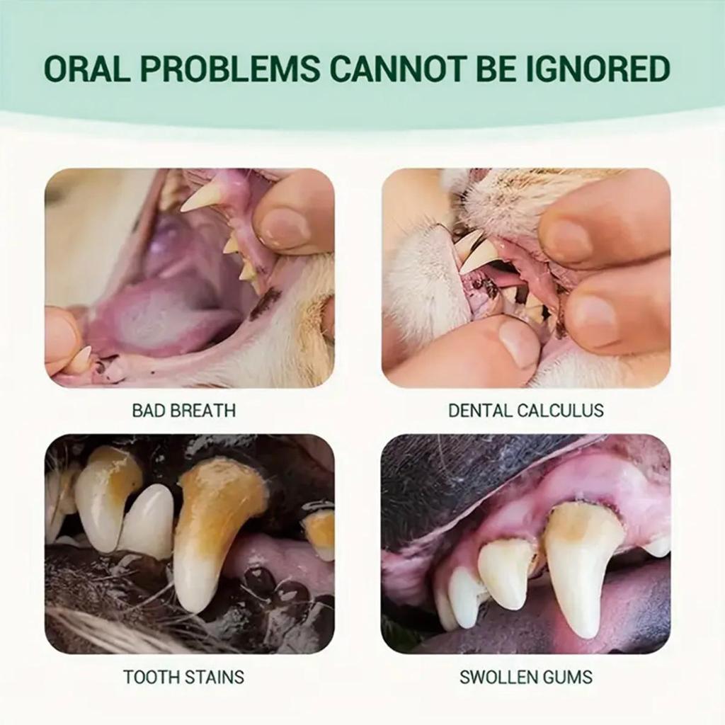 Pet Dental Powder Claims To Resolve Oral Problems with Pets In the Simplest Way.