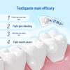 Sanqi Mint Gum Protection Toothpaste
