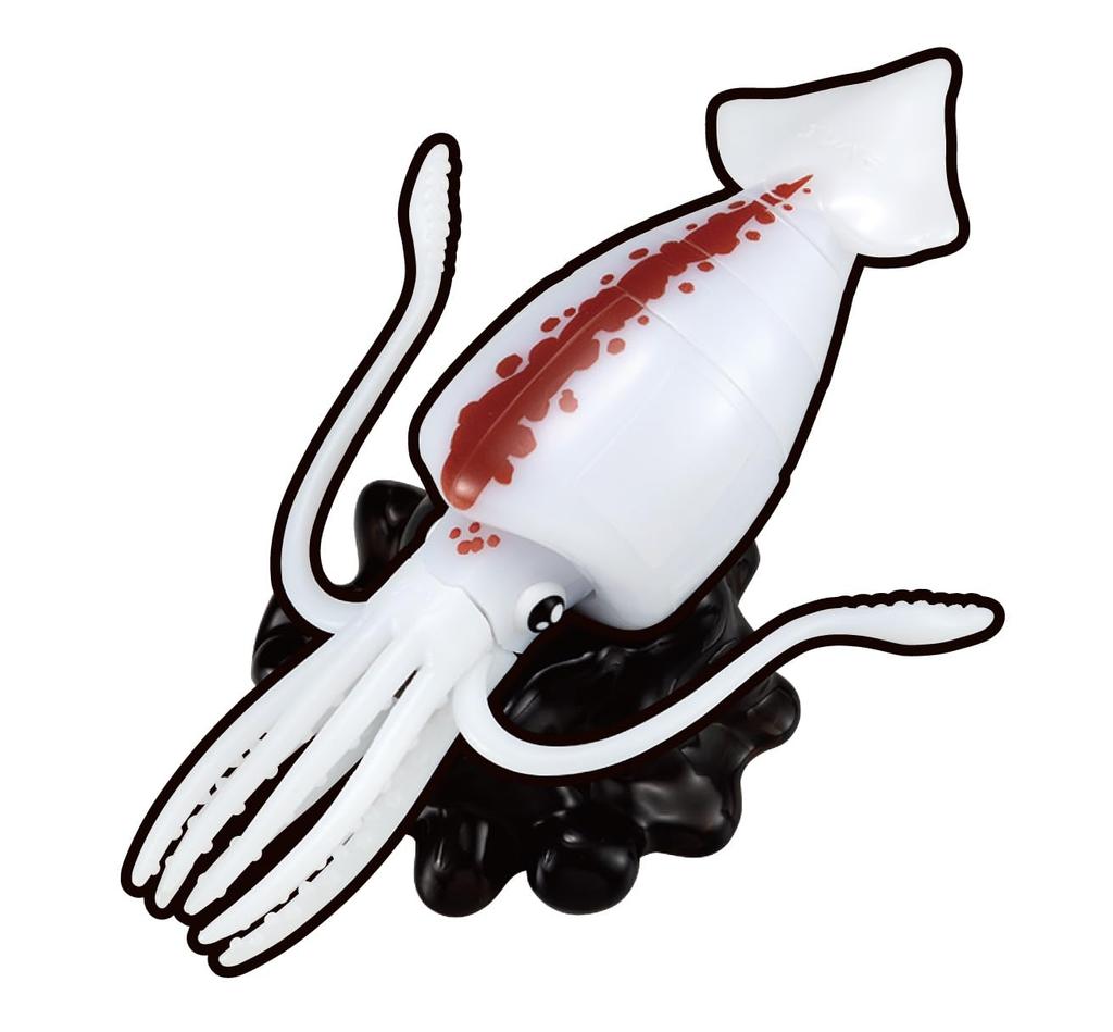 Buy a whole Squid dissection puzzle bunch!!