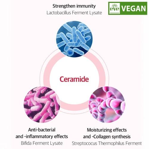 ALL MASIL Vegan 3 Shea Butter Perfume Hand Cream, 50ml, Moisturizing Vegan Shea Butter Perfume Hand Cream (Fruity Floral Mask FL)