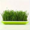 Growing Trays For Sprouting Seeds, Hydroponics Basket Soilless Seed Sprouter, Germination Tray Kit With Lid For Garden