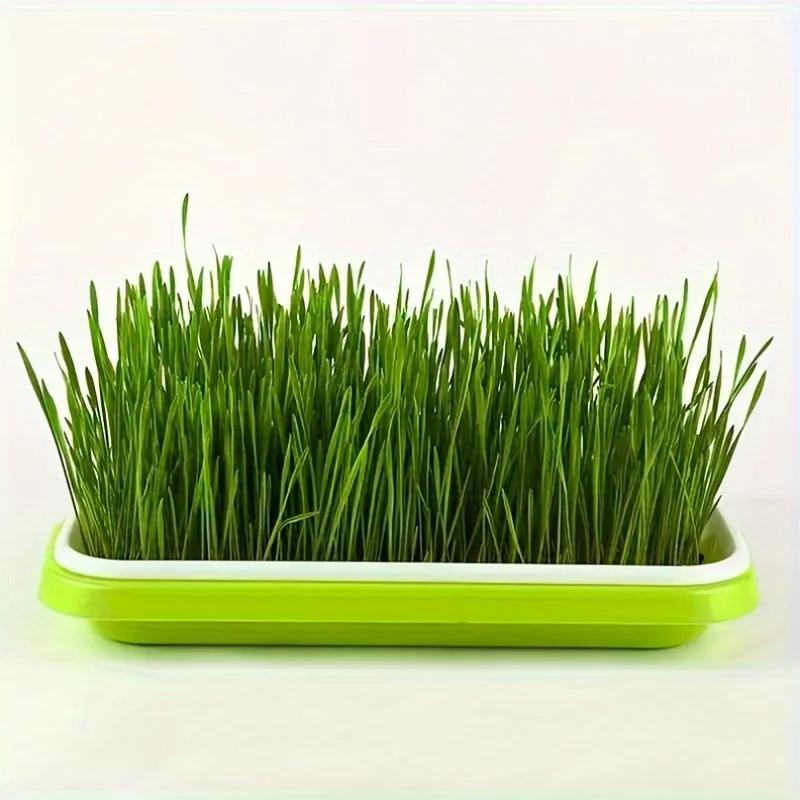 Growing Trays For Sprouting Seeds, Hydroponics Basket Soilless Seed Sprouter, Germination Tray Kit With Lid For Garden