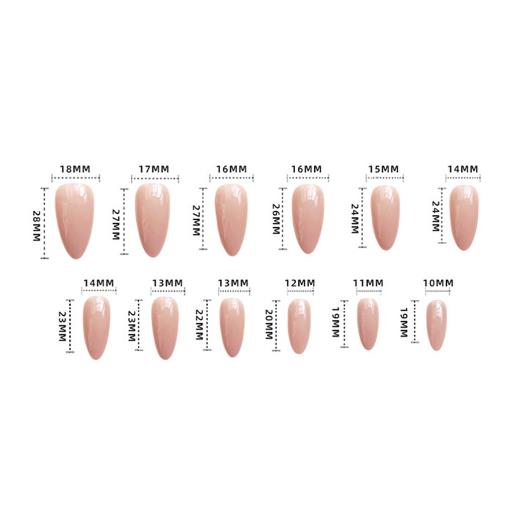 24PCS Colorful Fake Nails with Bird Printed Reusable Long Lasting Press On Nails for Women and Girl Nail Salon