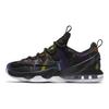 LeBron 13 Low Birds of Paradise